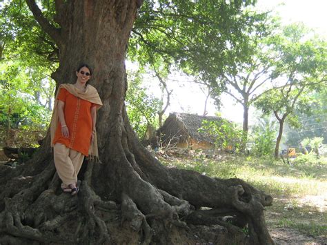 Underneath the Tamarind Tree: Unveiling the Mystical Power of Storytelling in Ethiopian Folklore!